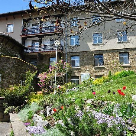 Balneohotel Lyulyatsi Vrabcite Kültér fotó